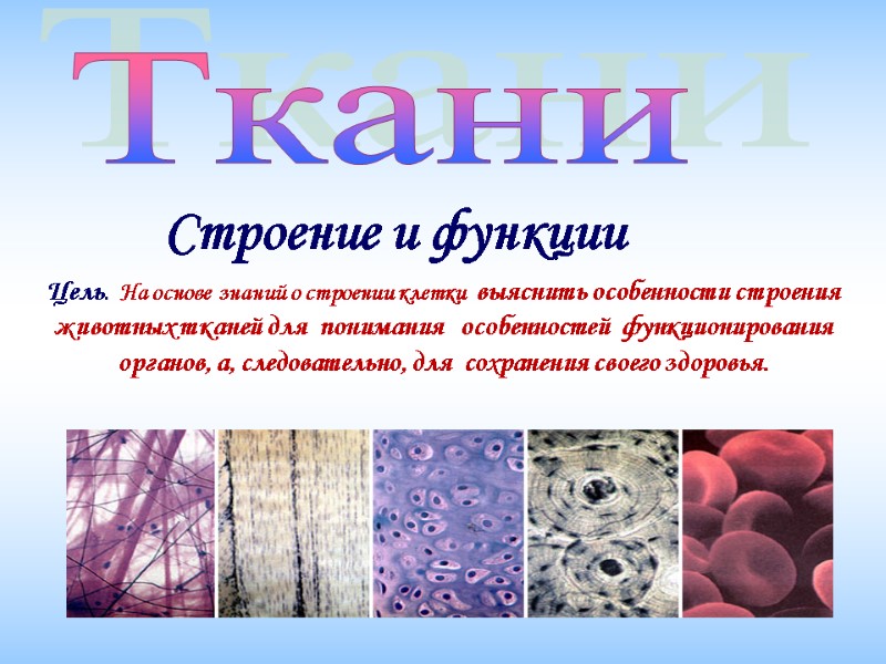 Строение и функции Ткани  Цель.  На основе  знаний о строении клетки